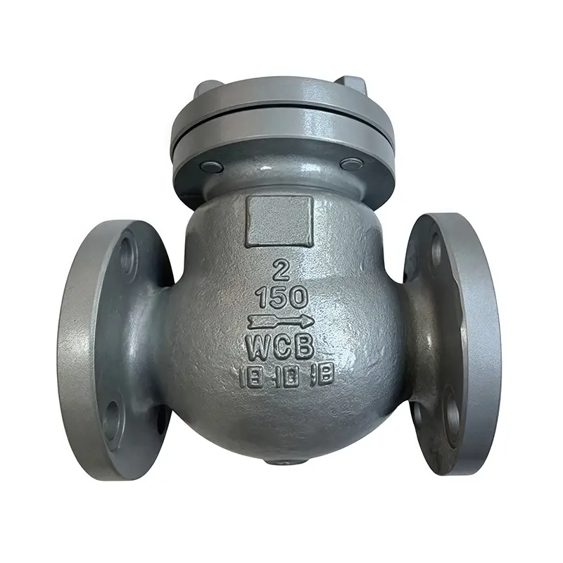 WCB ಅಮೇರಿಕನ್ ಸ್ಟ್ಯಾಂಡರ್ಡ್ ಚೆಕ್ ವಾಲ್ವ್
